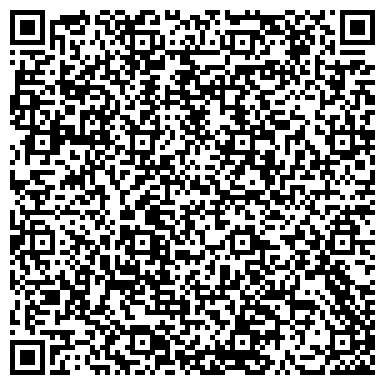 QR-код с контактной информацией организации Новогодняе огни, Интернет магазин