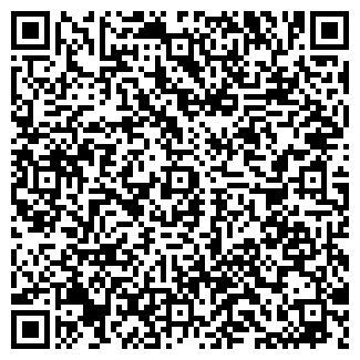 QR-код с контактной информацией организации ИП "Шварц"