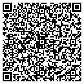 QR-код с контактной информацией организации Mobileshop