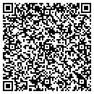 QR-код с контактной информацией организации Городничий, ЧП