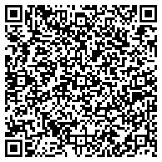 QR-код с контактной информацией организации Gate (Гейт), ИП