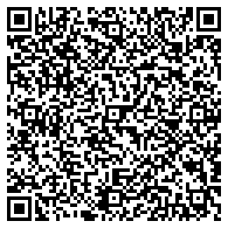 QR-код с контактной информацией организации Lightshow