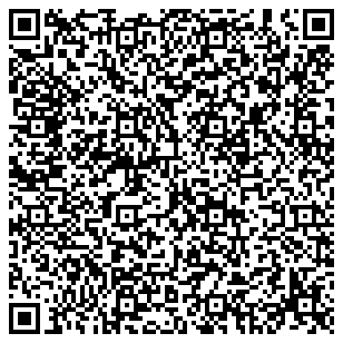 QR-код с контактной информацией организации Интернет-магазин автозапчастей DREAMCARS (Дриамкарс), ЧП