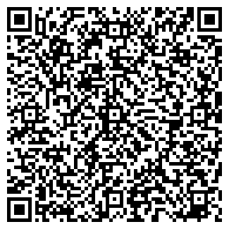 QR-код с контактной информацией организации Электроник