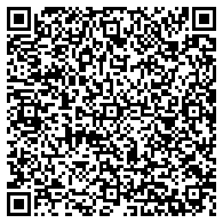 QR-код с контактной информацией организации Бабушкино