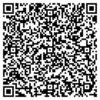 QR-код с контактной информацией организации Алиева, ИП