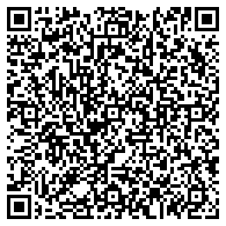 QR-код с контактной информацией организации Частное предприятие ИП Бадалей Д. И.