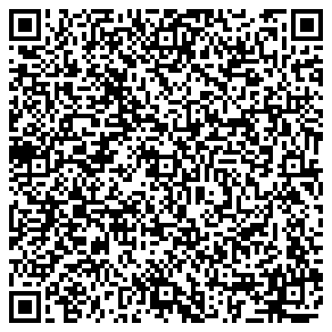 QR-код с контактной информацией организации Palazzetti Lelio S.p.A., Компания