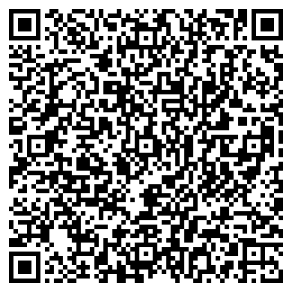 QR-код с контактной информацией организации Субъект предпринимательской деятельности Автомастер