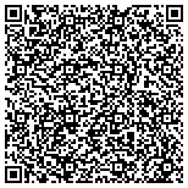 QR-код с контактной информацией организации Алеко-Сервис (Демьяненко), ЧП