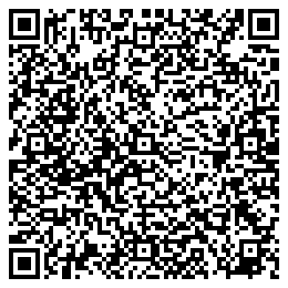 QR-код с контактной информацией организации Коллективное предприятие bmwservice