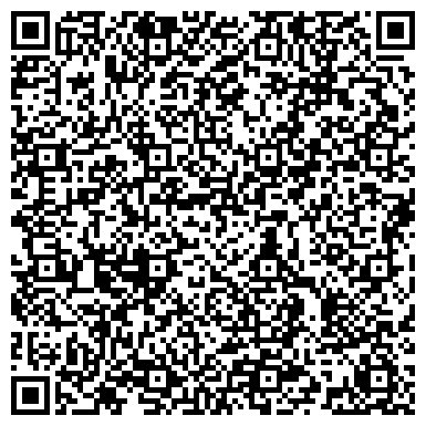 QR-код с контактной информацией организации Шины Диски, ЧП (ShinyDiski)
