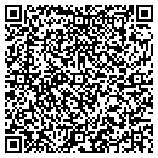 QR-код с контактной информацией организации Нецвит, СПД