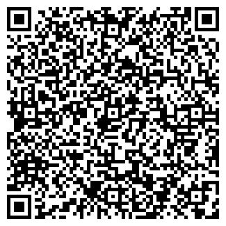 QR-код с контактной информацией организации ИП Ситдиков Т. Р.