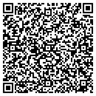 QR-код с контактной информацией организации "Avtosnab"