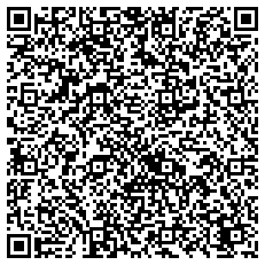 QR-код с контактной информацией организации Свет Авто, ЧП (Янковский)