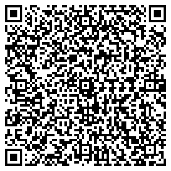 QR-код с контактной информацией организации Стар Шина, ЧП