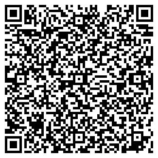 QR-код с контактной информацией организации Laika, ООО