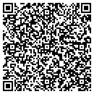 QR-код с контактной информацией организации ТЦ «Кар-Сити»