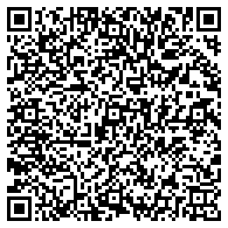 QR-код с контактной информацией организации Шиновик, ООО