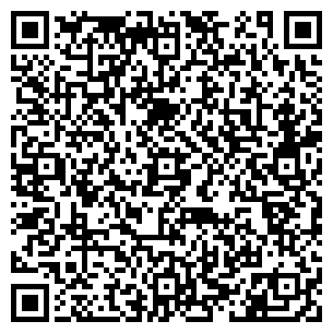 QR-код с контактной информацией организации Шин-Трэйд, ТОО