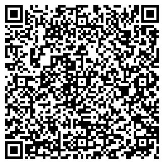 QR-код с контактной информацией организации Ильяс, ИП