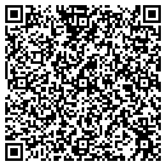 QR-код с контактной информацией организации Субъект предпринимательской деятельности VizTel