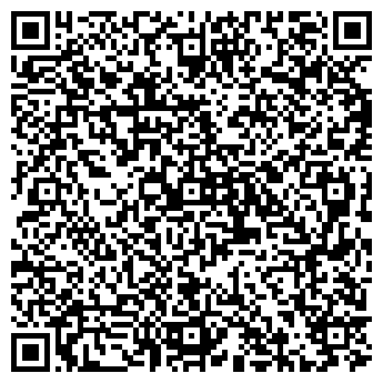 QR-код с контактной информацией организации VipCar (ВипКар), ИП