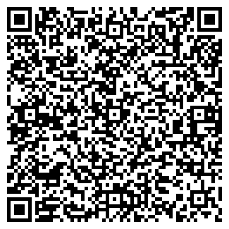QR-код с контактной информацией организации Игоренко, ЧП