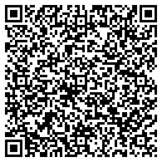 QR-код с контактной информацией организации Пугачев, ИП