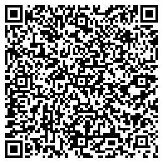 QR-код с контактной информацией организации Печник, Компания