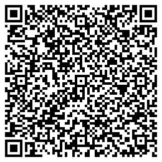 QR-код с контактной информацией организации Виго, ЧУП