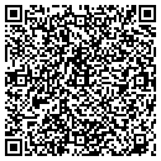 QR-код с контактной информацией организации Вэдэм, ООО