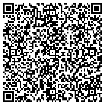 QR-код с контактной информацией организации Камины, ИП
