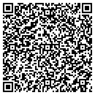 QR-код с контактной информацией организации Камины Киев, ЧП