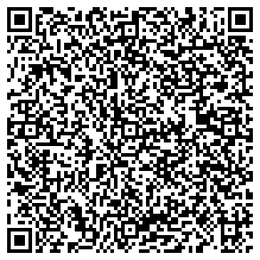 QR-код с контактной информацией организации Львов Баляс, Компания