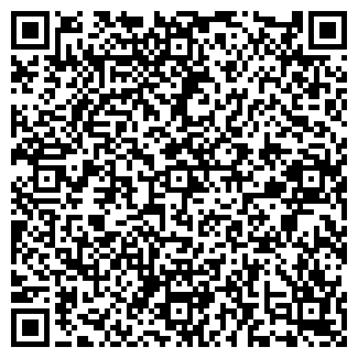 QR-код с контактной информацией организации Субъект предпринимательской деятельности Novodor