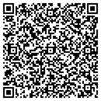 QR-код с контактной информацией организации Кация, ЧП