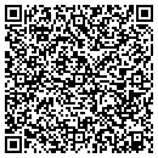 QR-код с контактной информацией организации Массив, ИП