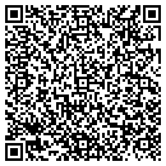 QR-код с контактной информацией организации ИП "Шишков"