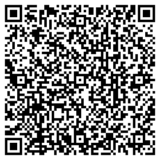 QR-код с контактной информацией организации Субъект предпринимательской деятельности ИП Сафаров Р. Н.
