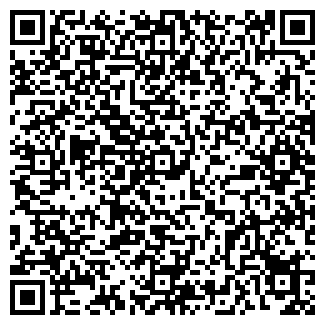 QR-код с контактной информацией организации ИП Раисова