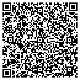 QR-код с контактной информацией организации Шкарин, ЧП