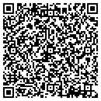 QR-код с контактной информацией организации ДС-Киев, ЧП