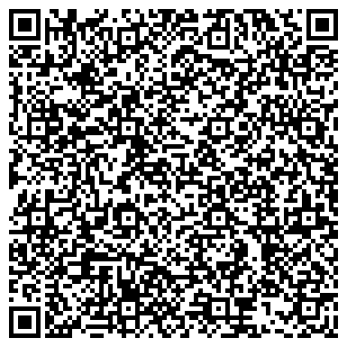 QR-код с контактной информацией организации Балицкий, ЧП (ТМ Мир камня)