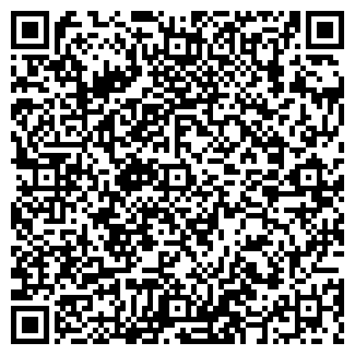 QR-код с контактной информацией организации Скайбуд, ЧП