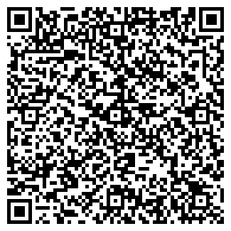 QR-код с контактной информацией организации Томашенко, ИП