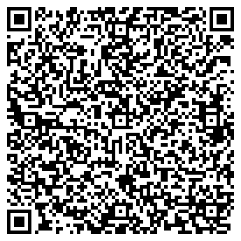 QR-код с контактной информацией организации Багира Буд, ООО