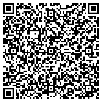 QR-код с контактной информацией организации Раисов, ИП