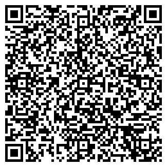 QR-код с контактной информацией организации Шайкин, ЧП